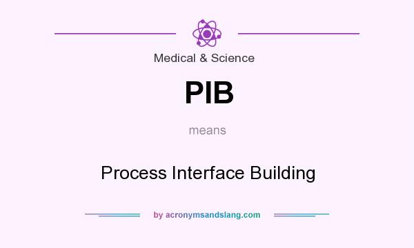 What does PIB mean? It stands for Process Interface Building