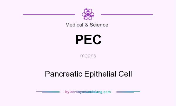 What does PEC mean? It stands for Pancreatic Epithelial Cell