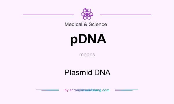 What does pDNA mean? It stands for Plasmid DNA