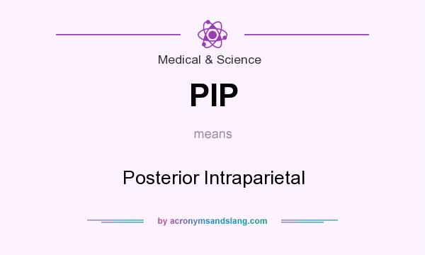 What does PIP mean? It stands for Posterior Intraparietal