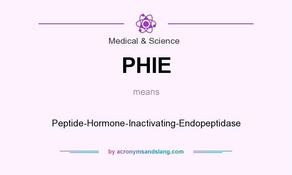 What does PHIE mean? It stands for Peptide-Hormone-Inactivating-Endopeptidase