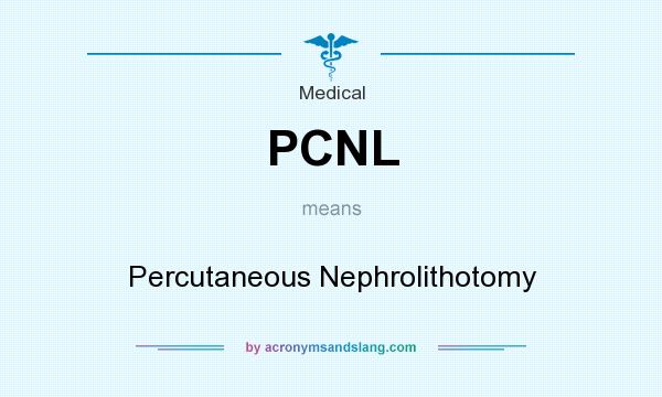 What does PCNL mean? It stands for Percutaneous Nephrolithotomy