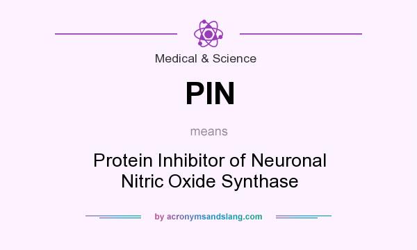 What does PIN mean? It stands for Protein Inhibitor of Neuronal Nitric Oxide Synthase