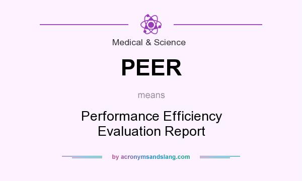 What does PEER mean? It stands for Performance Efficiency Evaluation Report