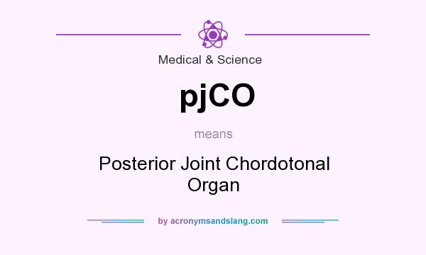 What does pjCO mean? It stands for Posterior Joint Chordotonal Organ