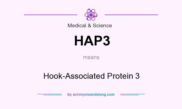 What does HAP3 mean? It stands for Hook-Associated Protein 3