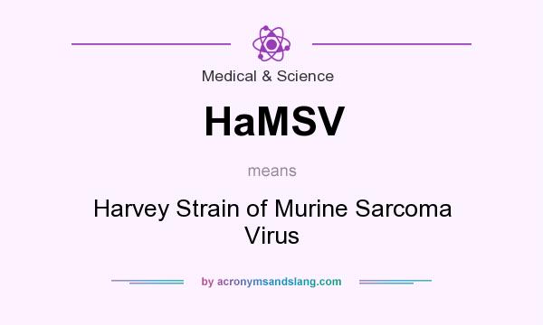 What does HaMSV mean? It stands for Harvey Strain of Murine Sarcoma Virus