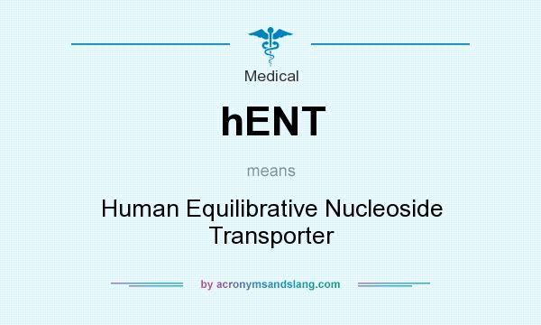 What does hENT mean? It stands for Human Equilibrative Nucleoside Transporter