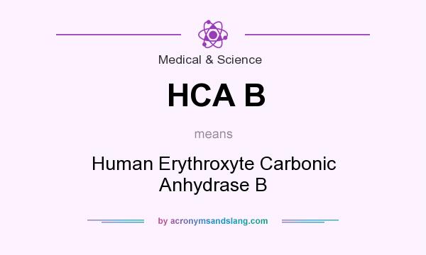 What does HCA B mean? It stands for Human Erythroxyte Carbonic Anhydrase B