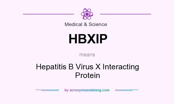 What does HBXIP mean? It stands for Hepatitis B Virus X Interacting Protein