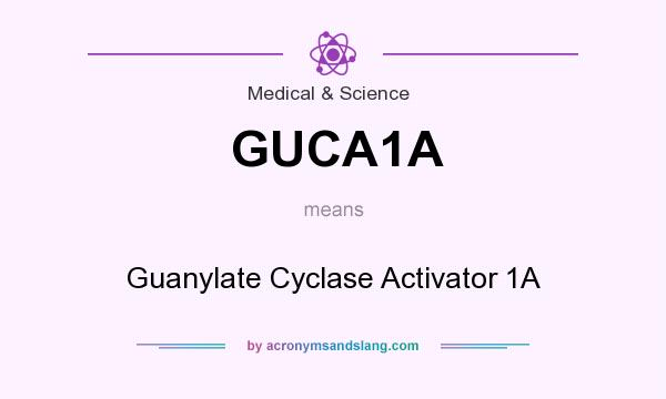 What does GUCA1A mean? It stands for Guanylate Cyclase Activator 1A