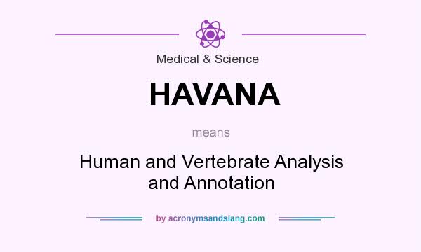 What does HAVANA mean? It stands for Human and Vertebrate Analysis and Annotation