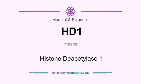 What does HD1 mean? It stands for Histone Deacetylase 1