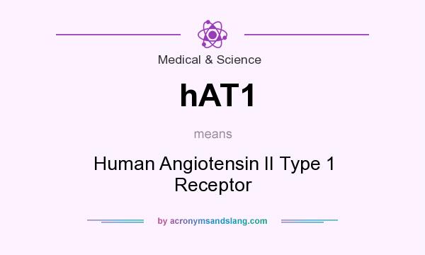 What does hAT1 mean? It stands for Human Angiotensin II Type 1 Receptor