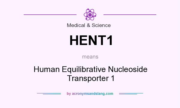 What does HENT1 mean? It stands for Human Equilibrative Nucleoside Transporter 1