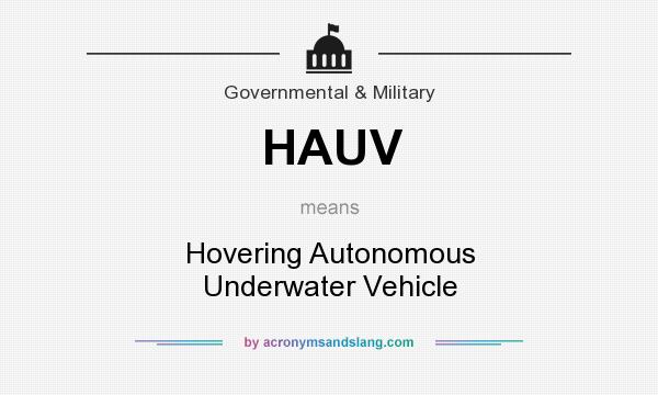 What does HAUV mean? It stands for Hovering Autonomous Underwater Vehicle