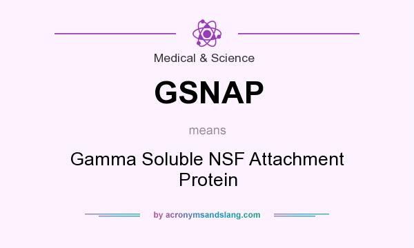 What does GSNAP mean? It stands for Gamma Soluble NSF Attachment Protein