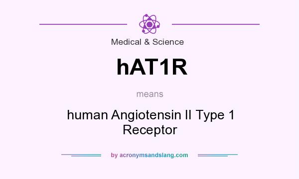 What does hAT1R mean? It stands for human Angiotensin II Type 1 Receptor
