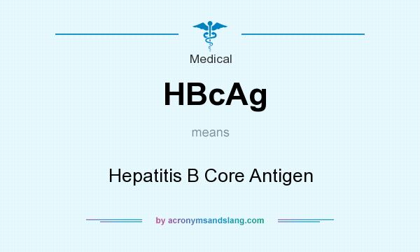 What does HBcAg mean? It stands for Hepatitis B Core Antigen