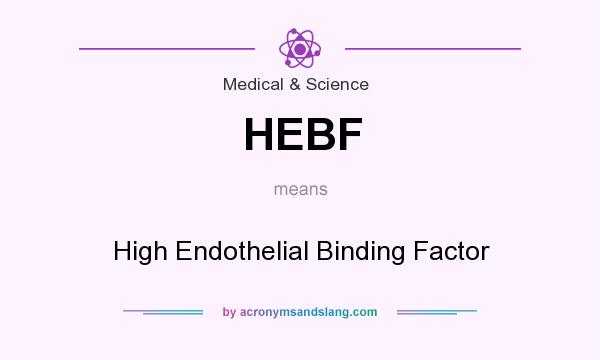 What does HEBF mean? It stands for High Endothelial Binding Factor