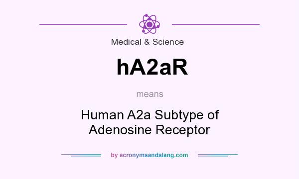 What does hA2aR mean? It stands for Human A2a Subtype of Adenosine Receptor