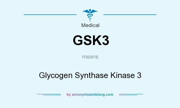 What does GSK3 mean? It stands for Glycogen Synthase Kinase 3