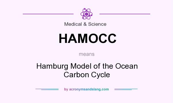 What does HAMOCC mean? It stands for Hamburg Model of the Ocean Carbon Cycle