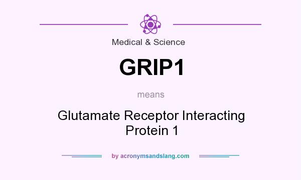 What does GRIP1 mean? It stands for Glutamate Receptor Interacting Protein 1