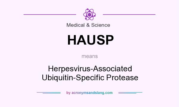 What does HAUSP mean? It stands for Herpesvirus-Associated Ubiquitin-Specific Protease