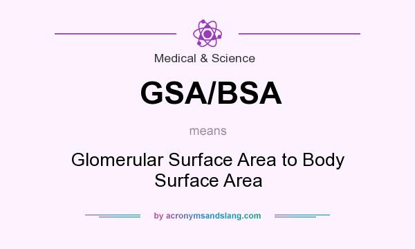 What does GSA/BSA mean? It stands for Glomerular Surface Area to Body Surface Area