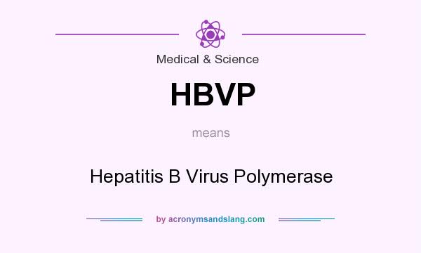 What does HBVP mean? It stands for Hepatitis B Virus Polymerase