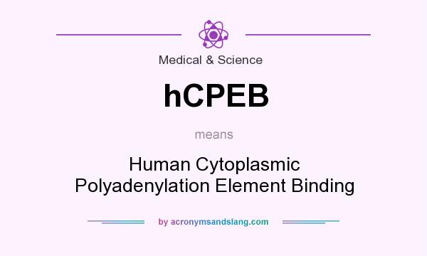 What does hCPEB mean? It stands for Human Cytoplasmic Polyadenylation Element Binding