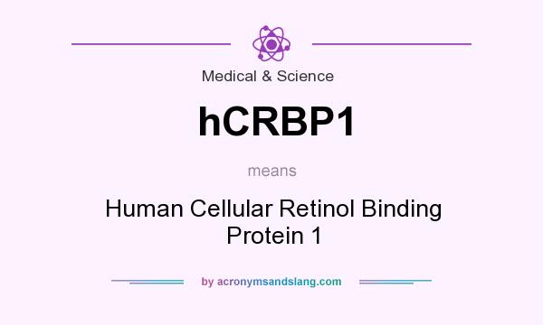 What does hCRBP1 mean? It stands for Human Cellular Retinol Binding Protein 1
