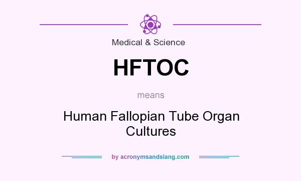 What does HFTOC mean? It stands for Human Fallopian Tube Organ Cultures