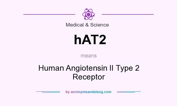 What does hAT2 mean? It stands for Human Angiotensin II Type 2 Receptor