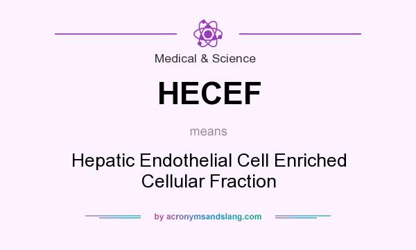 What does HECEF mean? It stands for Hepatic Endothelial Cell Enriched Cellular Fraction
