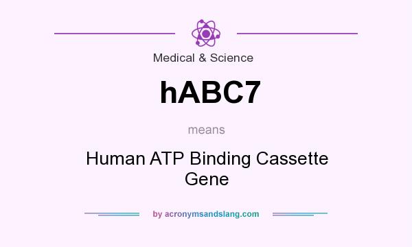 What does hABC7 mean? It stands for Human ATP Binding Cassette Gene