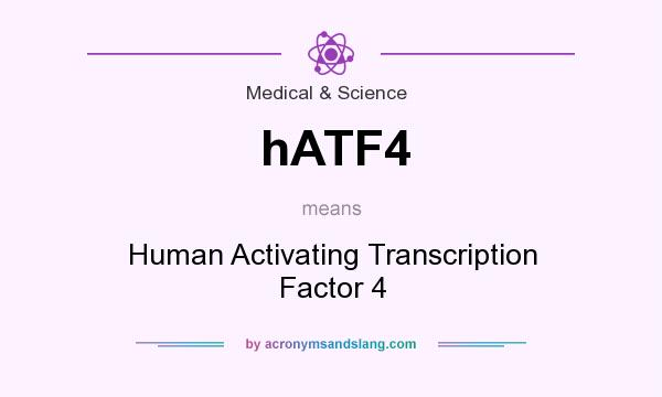 What does hATF4 mean? It stands for Human Activating Transcription Factor 4