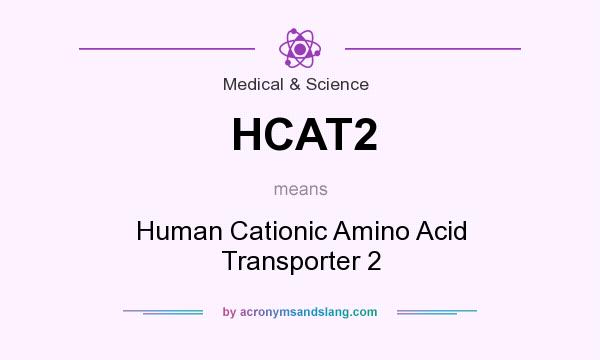 What does HCAT2 mean? It stands for Human Cationic Amino Acid Transporter 2