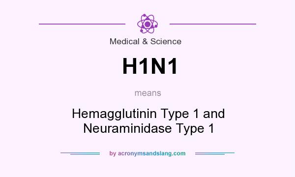 What does H1N1 mean? It stands for Hemagglutinin Type 1 and Neuraminidase Type 1