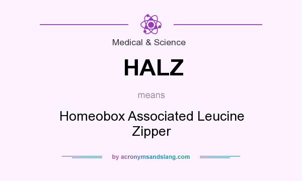 What does HALZ mean? It stands for Homeobox Associated Leucine Zipper