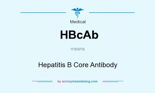 What does HBcAb mean? It stands for Hepatitis B Core Antibody