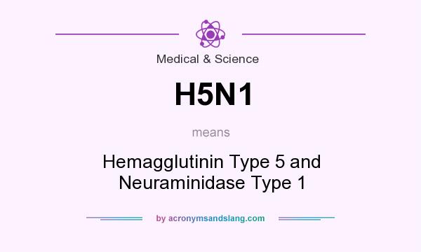 What does H5N1 mean? It stands for Hemagglutinin Type 5 and Neuraminidase Type 1