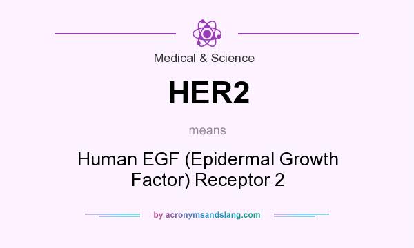 What does HER2 mean? It stands for Human EGF (Epidermal Growth Factor) Receptor 2