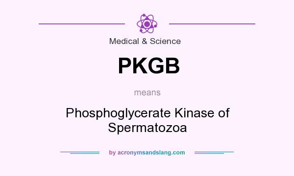 What does PKGB mean? It stands for Phosphoglycerate Kinase of Spermatozoa