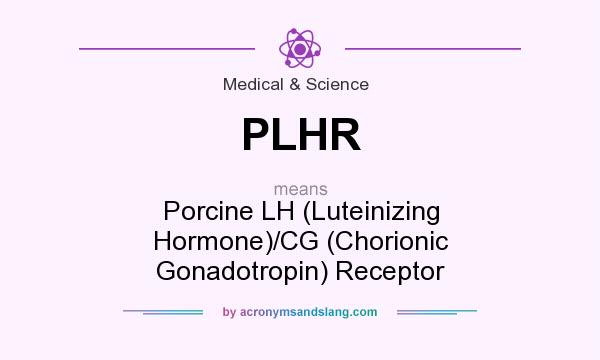 What does PLHR mean? It stands for Porcine LH (Luteinizing Hormone)/CG (Chorionic Gonadotropin) Receptor
