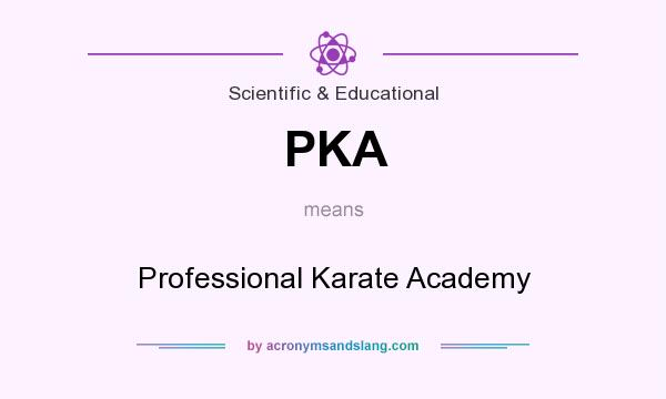 What does PKA mean? It stands for Professional Karate Academy