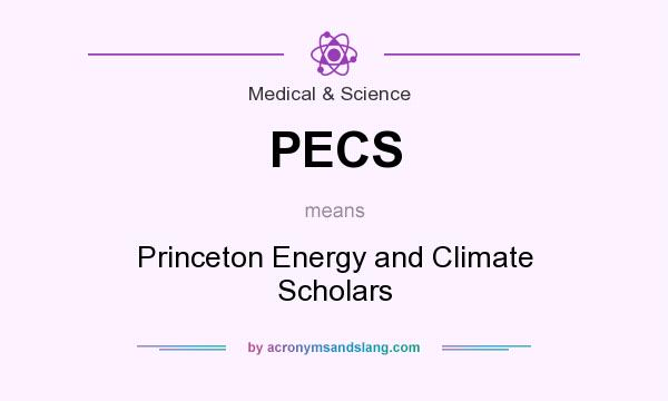 What does PECS mean? It stands for Princeton Energy and Climate Scholars