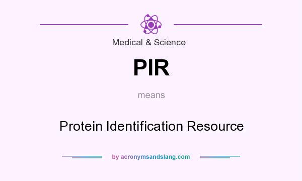 What does PIR mean? It stands for Protein Identification Resource