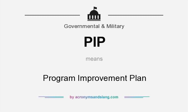 What does PIP mean? It stands for Program Improvement Plan
